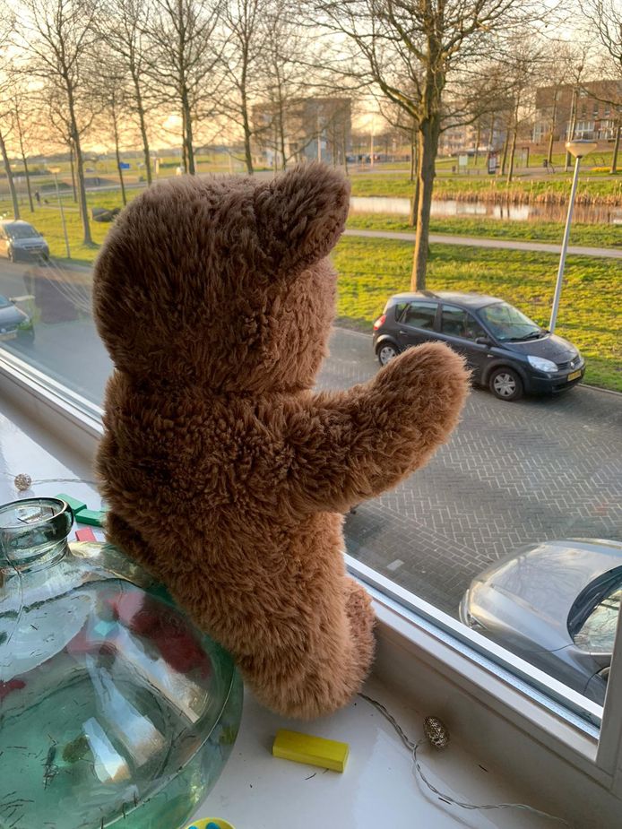 Een van de beren voor het raam.