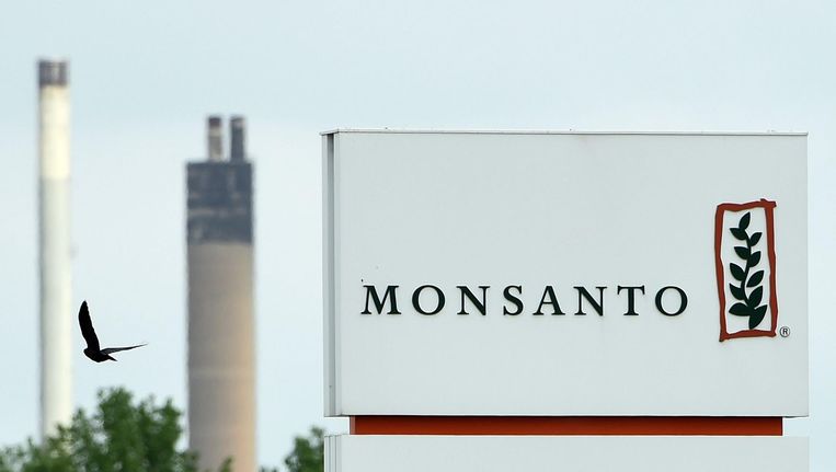 Het logo van Monsanto. Beeld afp