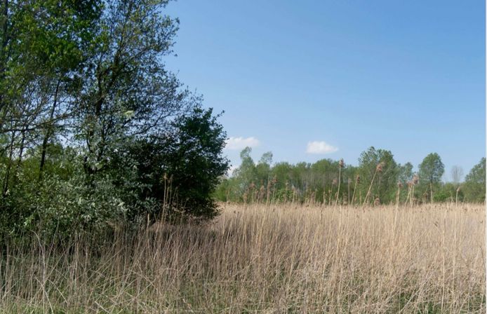 Het terrein aan de Groenewoudseweg in Zeewolde waar het Zonnewoud komt.