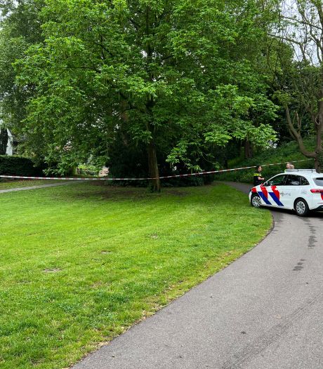 Vrouw (23) meldt zich als slachtoffer zedenzaak in Deventer: politie rondt onderzoek in parkje bij IJssel af