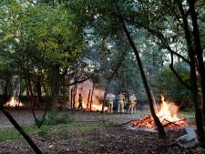 Boshut en houtstapels in brand in Overloons bos