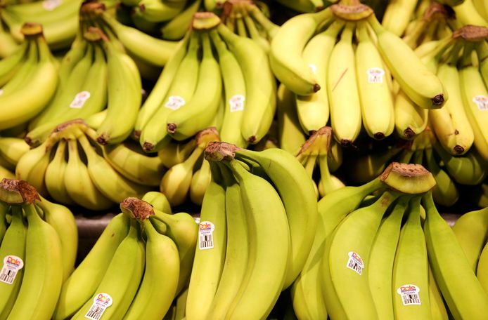 De cocaïne zat verstopt in een lading bananen.