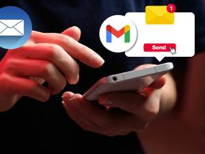 Tip de Gelderlander!