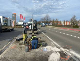 Bestuurder (22) overleden bij botsing met vuilniswagen, politie probeerde hem nog te stoppen