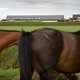 Aan de Overdiepse Polder ging 15 jaar gesteggel vooraf