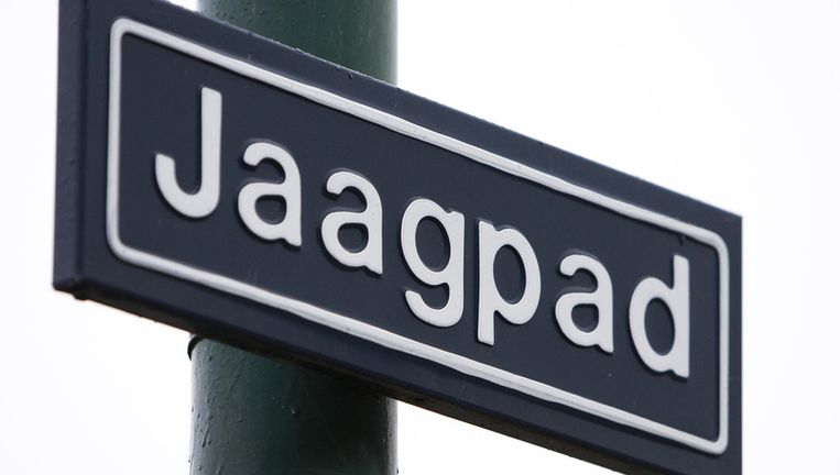 Hof Hoort Deskundigen Puttense Moord Het Parool