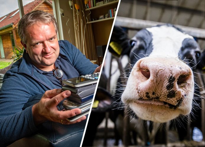 Het Stentor nieuws van 1 februari