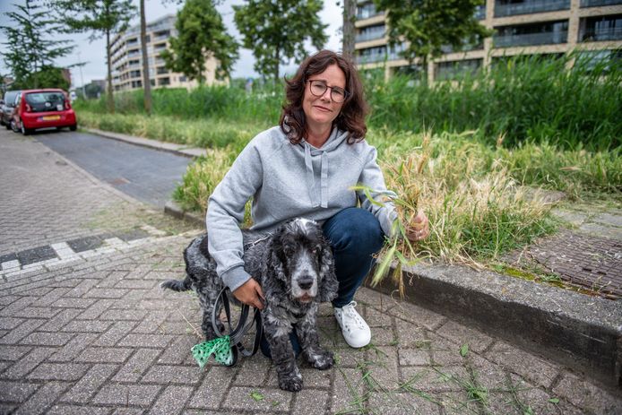 Tanja Vijlbrief met haar hond Wolfie. Ze wil dat de gemeente het voor honden gevaarlijke kruipgras maait.