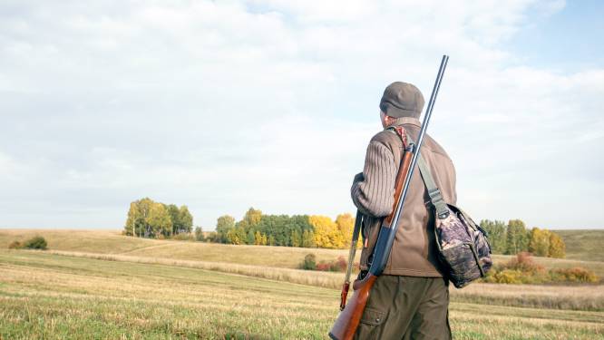 Minder stroperij vastgesteld in Vlaanderen