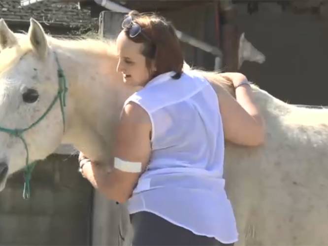 Sofie (23) kampt al jaren met depressie. Therapie met paarden helpt haar het best