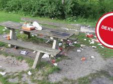 Barbecue in het park verbieden? ‘Dan lijden de goeden weer onder de kwaden!’