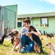 Deze dieren wachten al heel lang op een nieuw baasje