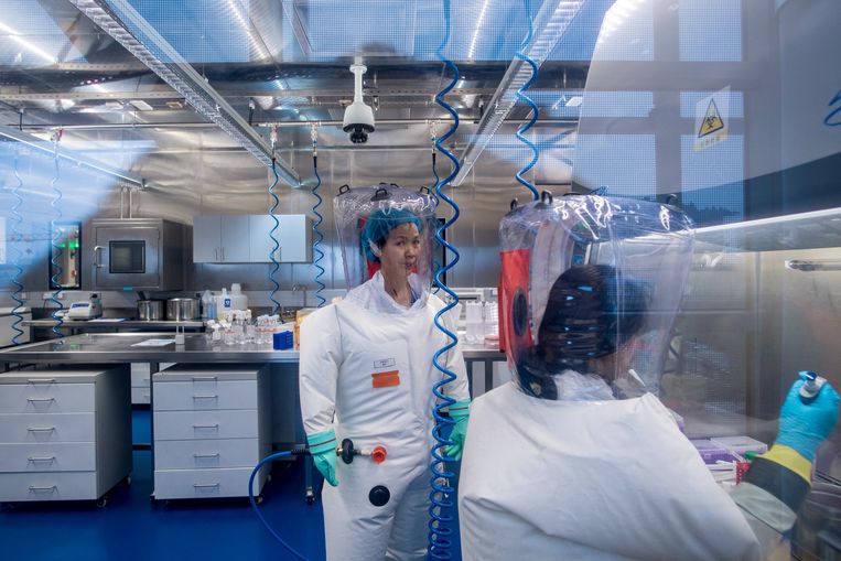Vleermuizenviroloog Shi Zhengli (links) in haar laboratorium in Wuhan.  Beeld HH / AFP