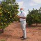 Het is niet overal kommer en kwel: de citrussector in Spanje bloeit volop door corona (en de vraag naar vitamine C)