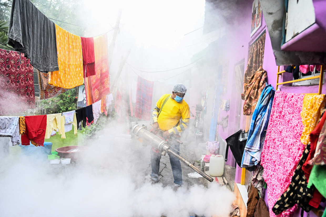 Naast het vaccin is er nóg meer goed nieuws te melden. Dankzij klamboes geïmpregneerd met insecticiden, muggendodende sprays en vernieuwde anti-malariamedicatie is China sinds kort ook malariavrij. Beeld AFP