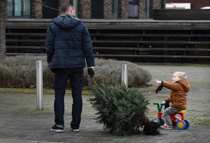 Altena is op zoek naar clubs die willen helpen om kerstbomen in te nemen.