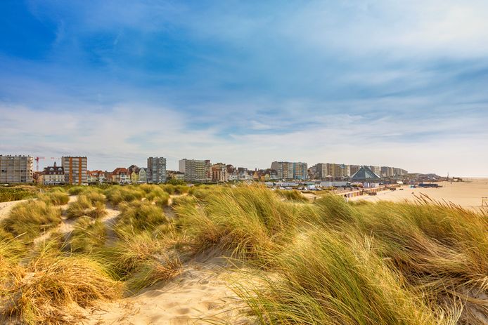 la ville du Touquet-Paris-Plage (Nord) a rendu obligatoire lundi le port du masque dans le centre-ville à compter de samedi et durant tout le mois d'août.