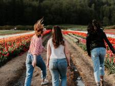 Envoyez balader le cancer du sein: 10.000 participants attendus à la 7ᵉ édition de la Marche Rose 