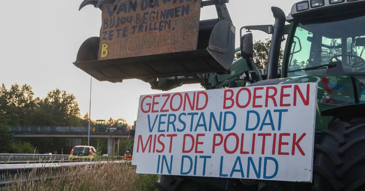 Meer Dan Een Kwart Van Brabantse Boeren Overweegt Te Stoppen ‘waarom Zo Weinig Waardering Voor