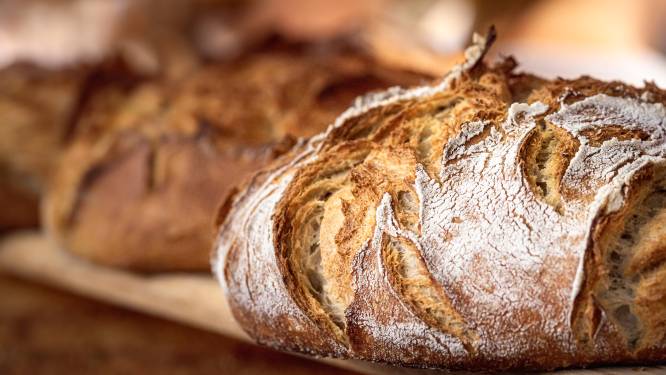 “Bakkers gebruiken nog steeds varkensvet als broodverbeteraar”: wat doet dit voor de smaak? En hoe weet je of het in jouw brood zit?