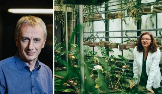 Klimaatexperts die stoppen: welk signaal geeft dat aan de samenleving?