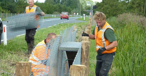 Otterhek van 75 mille naast Uitweg scheidt de geesten - AD.nl