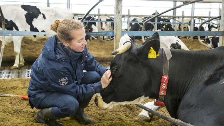Kwart van alle boeren heeft geen opvolger - Trouw