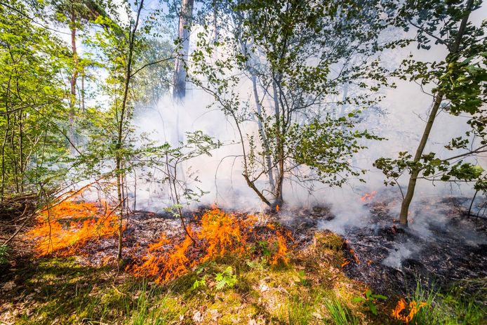 Archiefbeeld van een bosbrand.