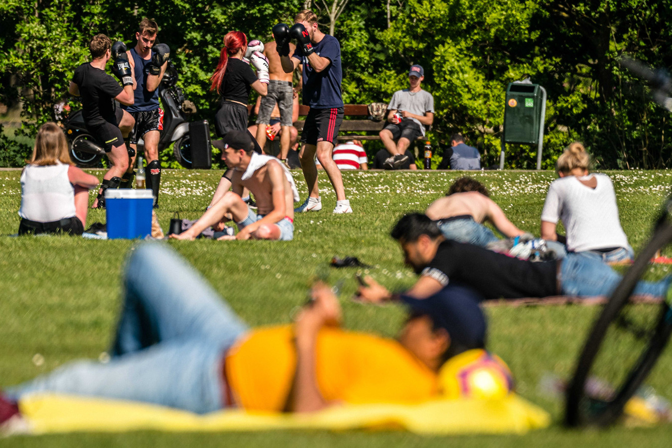 Brabanders vertoeven in de zon op een grasveldje in Eindhoven. Foto ter illustratie.