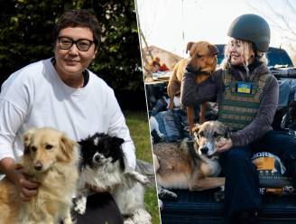 Deze Vlaamse vrouwen redden al 250 honden en katten uit oorlogsgebied: “Er werd zwaar gevochten en vielen continu raketten. Met bootjes trokken vrijwilligers de rivier over”
