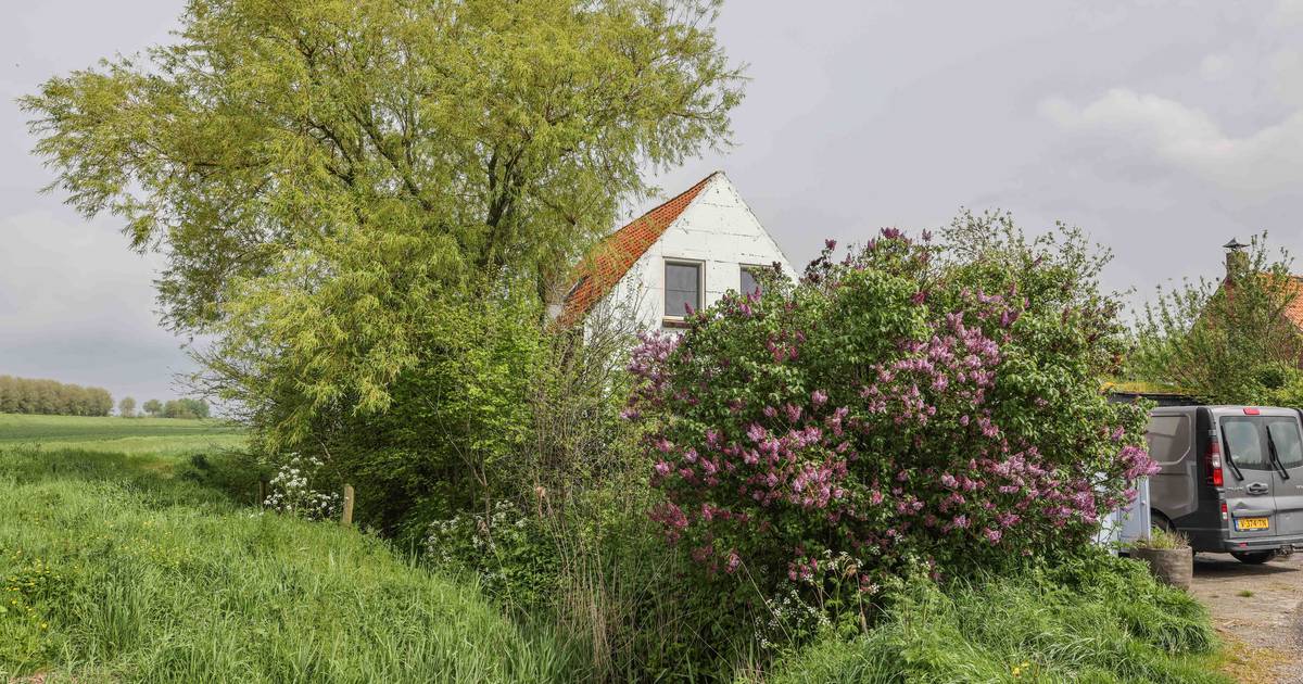 Vlissingse zorginstelling neemt noodlijdende Zorgboerderij Vrij over ...