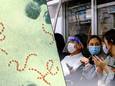 Streptococcus pyogenes / Des Japonais qui reprennent les habitudes de la pandémie de coronavirus.