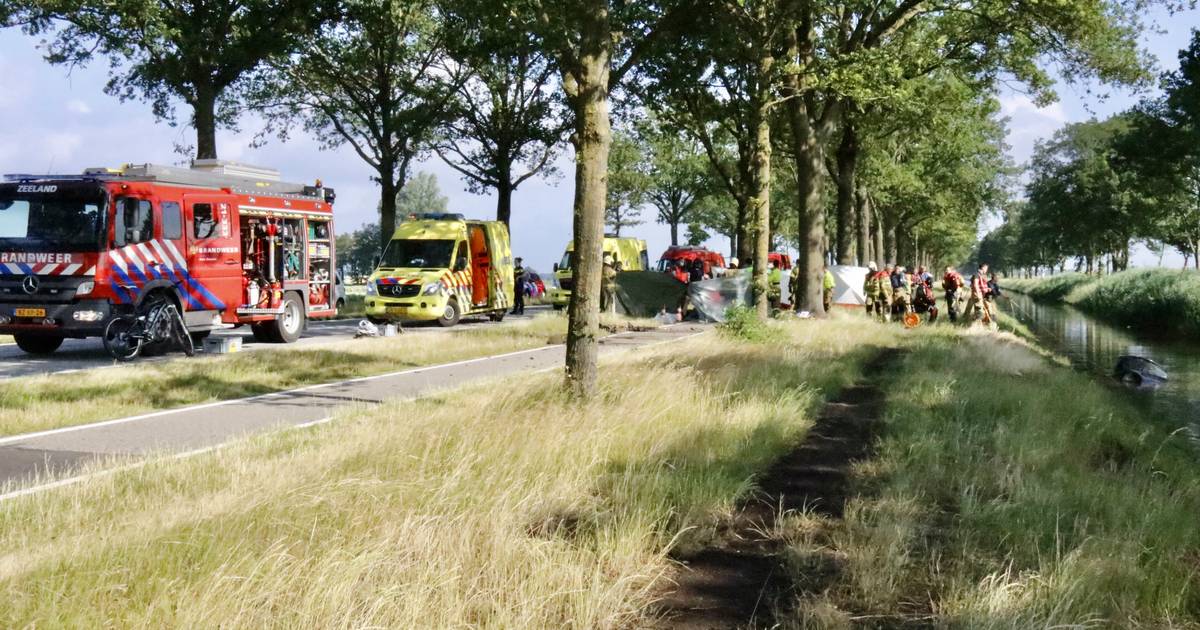Automobilist (44) overleden bij ongeluk langs N277 bij Wilbertoord | Mill en St. Hubert | gelderland