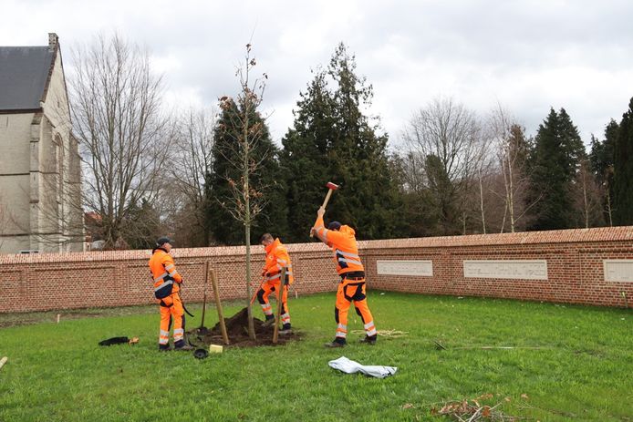 De oude schoolsite aan het Sint-Dimpnaplein werd onlangs al onthard.