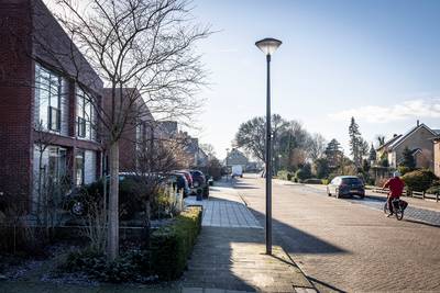 Een haag verplicht stellen in de voortuin? Dat zal Borne niet zo snel meer doen
