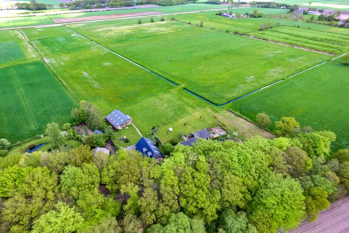 Een investeerder wil op een perceel achter Twentseweg nummer 10 (het weiland dat omgeven wordt door de sloot) een voedselbos, een veldschuur en vijf tiny houses neerzetten.