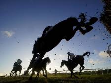 Un cheval cloné ouvre un nouvel avenir pour les sports équestres en Chine
