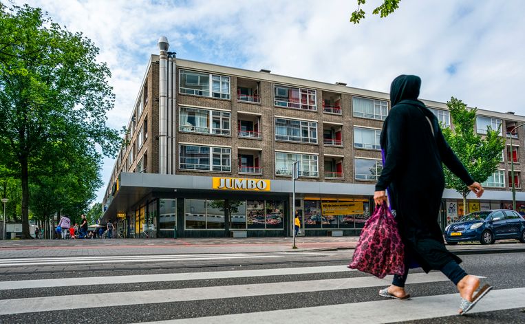  In de tien grote steden is gemiddeld 64 procent van alle huurwoningen eigendom van een socialewoningbouwvereniging, maar Den Haag is een uitzondering met 45 procent. Beeld Freek van den Bergh / de Volkskrant
