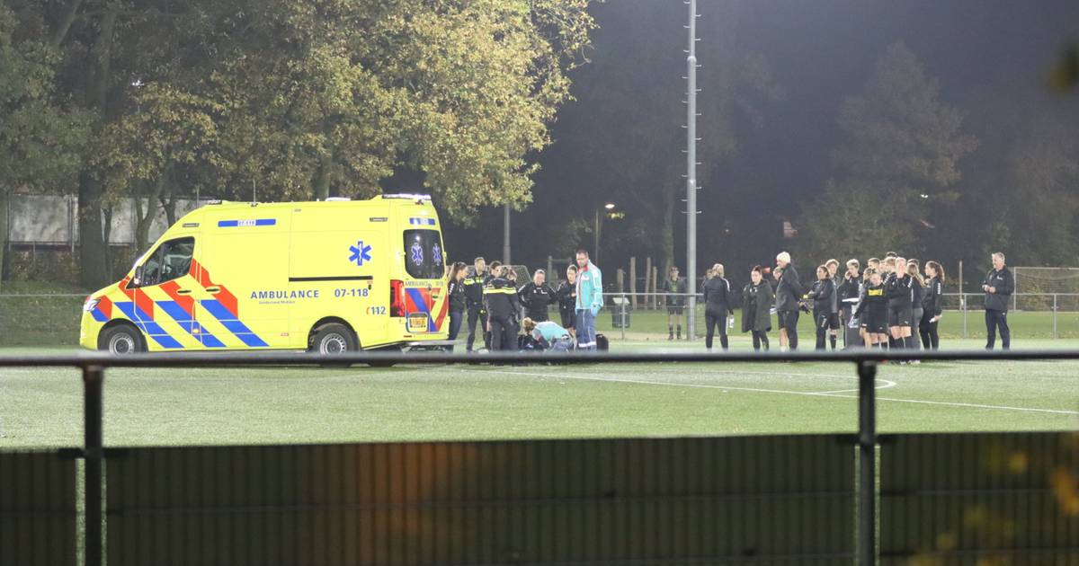 Twee gewonden naar het ziekenhuis na botsing tegen boom in Dwingeloo.