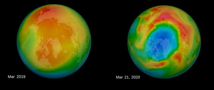 Satellietwaarnemingen van de dikte van de ozonlaag boven de noordpool. Links een gemiddeld beeld van de maand maart 2019, rechts een opname op 21 maart 2020 (meest recente data). Blauwe kleuren geven een dunne ozonlaag weer, rode kleuren een dikke ozonlaag.