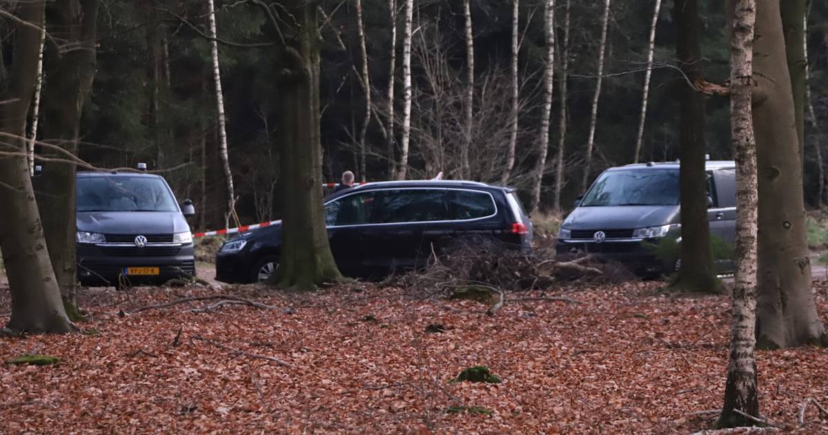Пятеро подозреваемых хранят молчание после того, как на стоянке в Нидерландах было обнаружено тело 45-летней бельгийки  Новости