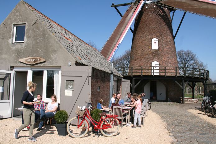 De Buitenmolen in Berendrecht.