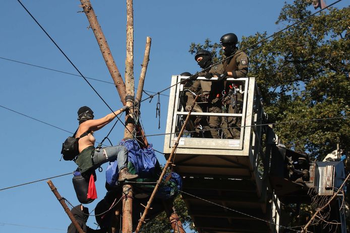 Agenten in een hoogwerker proberen een halfnaakte demonstrante uit een boomhut in het Hambacher bos te krijgen. Het verzet tegen de kap van het bos wordt steeds grimmiger.