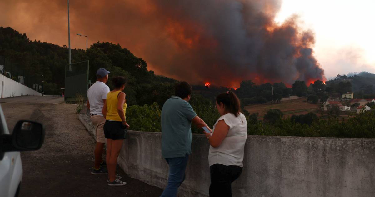 Feux de forêt majeurs, chaleur et sécheresse fléau Portugal et France, le pire reste à venir |  À l’étranger