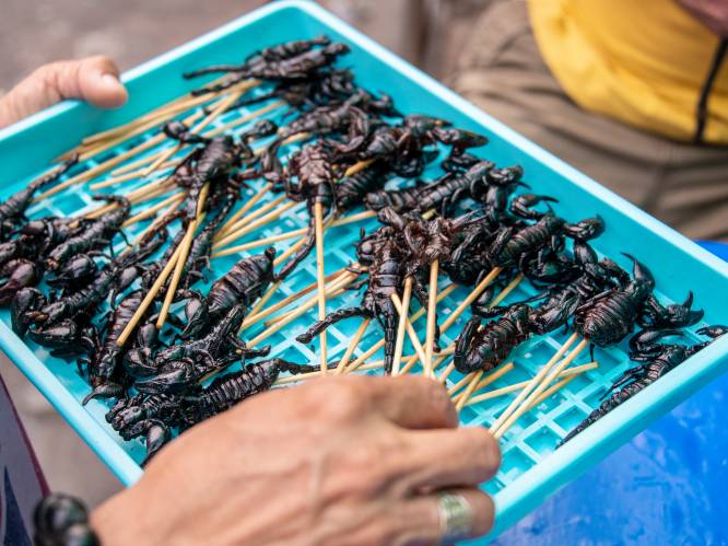 Insecten als voedsel: hoe leren we lief te zijn voor de meelworm?