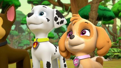 20. Pups redden de Post & Pups redden een Kikkerburgemeester
