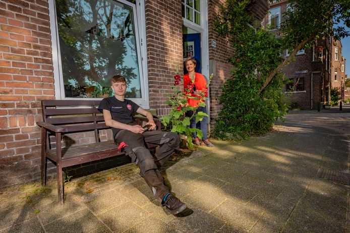 Haagse Nieuwe Melle Clement.