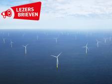 Reacties op windmolens op zee: ‘Het ecosysteem wordt verstoord’