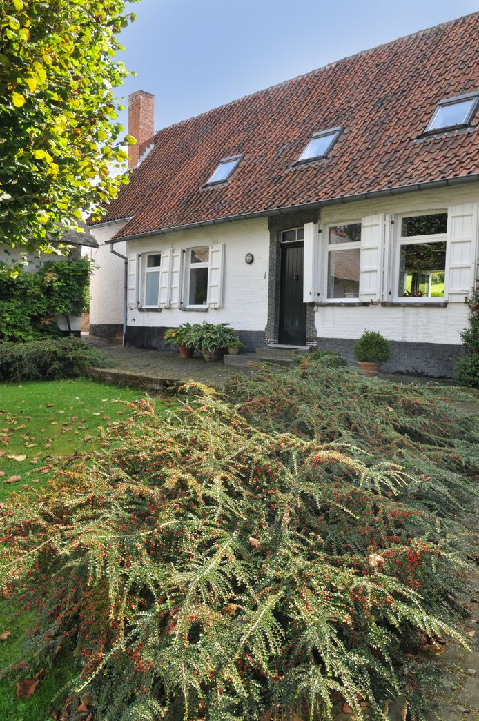 In deze voormalige hoeve (ca. 1720) aan Tenhole woonde Hugo Claus in de jaren 1964-'72. De schriver liet de hoeve in 1963 restaureren.




Editie Vlaamse Ardennen