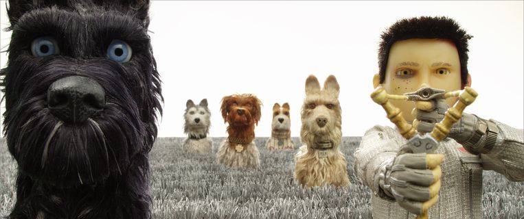 Still uit 'Isle of dogs', met de schurftige straathond Chief, waar Cranston zijn stem aan leent. Beeld rv